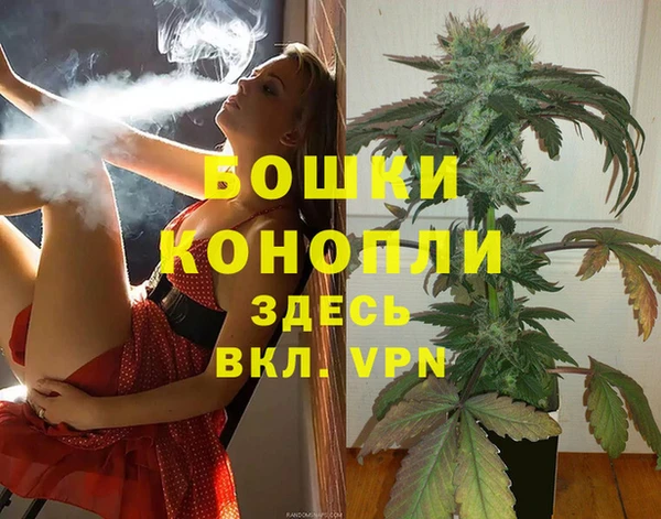 СК Волоколамск
